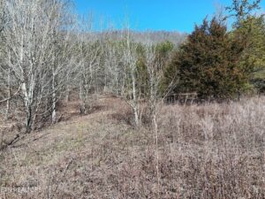 Property photo for land for sale in Grainger County Tennessee