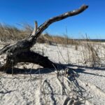 Property photo for land for sale in Carteret County North Carolina