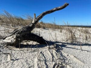 Property photo for land for sale in Carteret County North Carolina