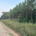 Property photo for land for sale in Clark County Arkansas