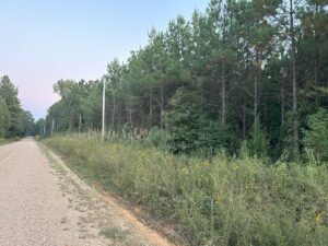 Property photo for land for sale in Clark County Arkansas