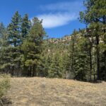 Property photo for land for sale in Rio Arriba County New Mexico