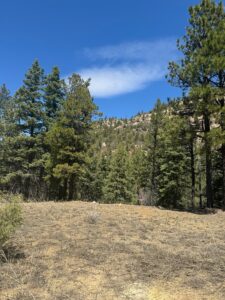 Property photo for land for sale in Rio Arriba County New Mexico