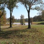 Property photo for land for sale in Howell County Missouri