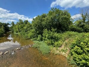 Property photo for land for sale in Sharp County Arkansas