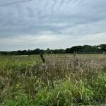 Property photo for land for sale in Caldwell County Missouri