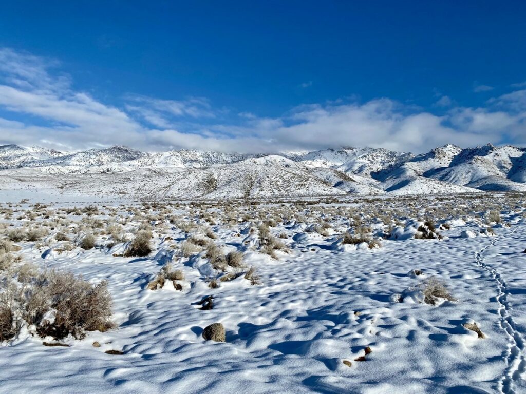 Property photo for land for sale in Pershing County Nevada