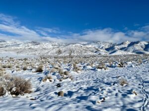 Property photo for land for sale in Pershing County Nevada