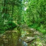 Property photo for land for sale in Searcy County Arkansas