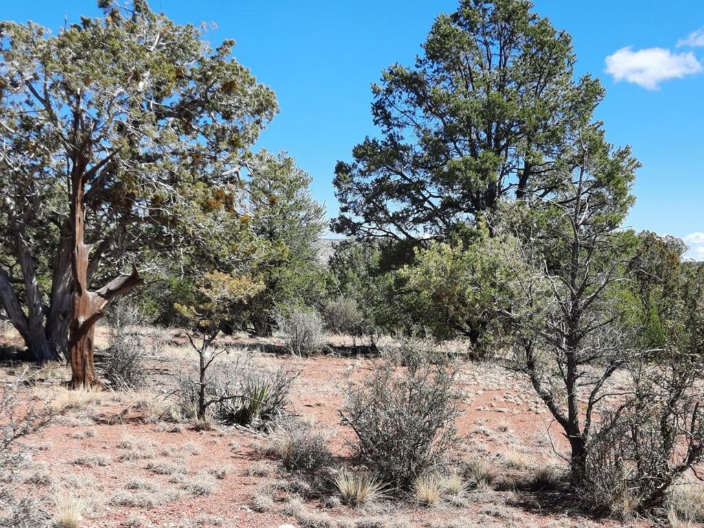 Property photo for land for sale in Yavapai County Arizona