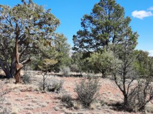 Property photo for land for sale in Yavapai County Arizona