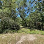 Property photo for land for sale in Dixie County Florida