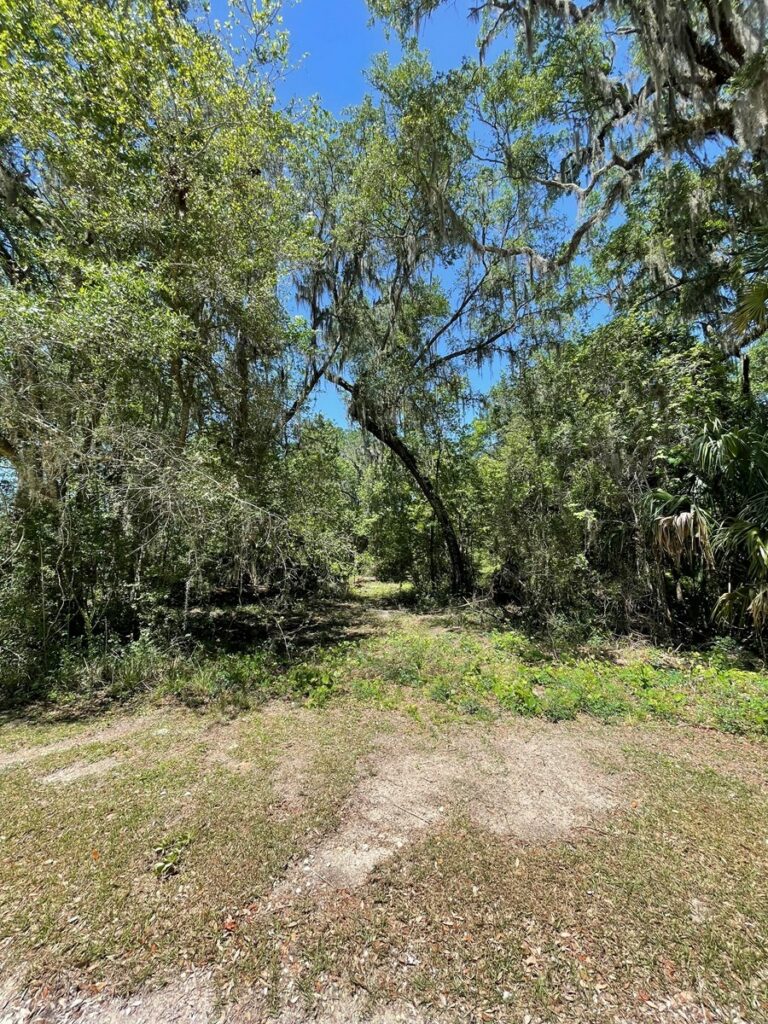 Property photo for land for sale in Dixie County Florida