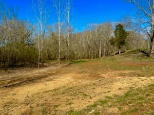 Property photo for land for sale in White County Tennessee