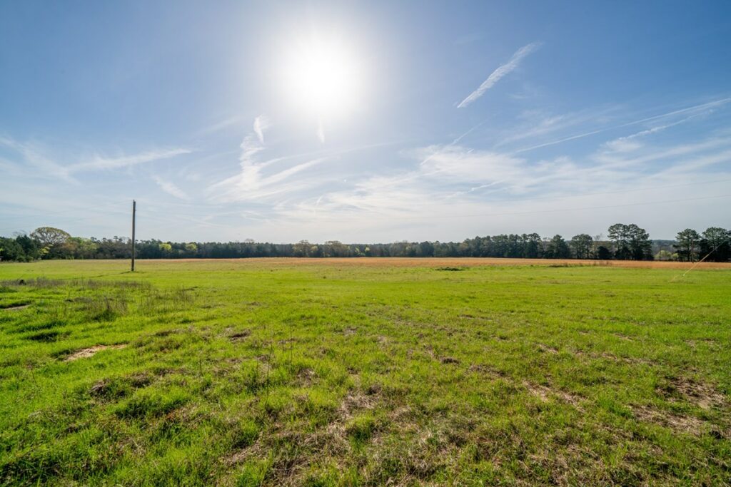 Property photo for land for sale in Marion County Texas