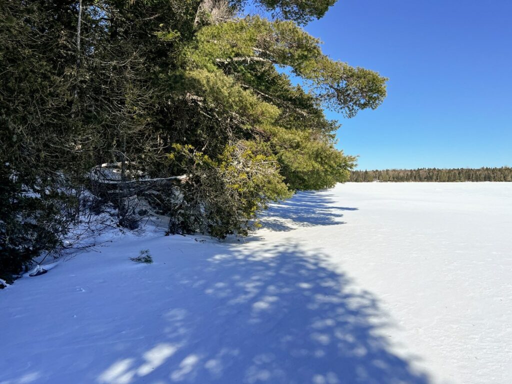 Property photo for land for sale in Aroostook County Maine