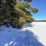 Property photo for land for sale in Aroostook County Maine