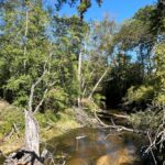 Property photo for land for sale in Allen County Louisiana