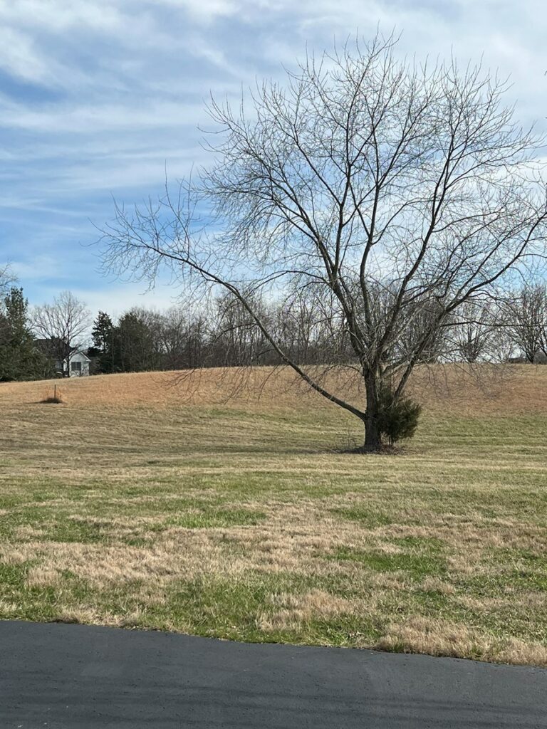 Property photo for land for sale in Warren County Kentucky