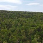 Property photo for land for sale in Pushmataha County Oklahoma