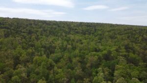 Property photo for land for sale in Pushmataha County Oklahoma