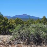 Property photo for land for sale in Torrance County New Mexico