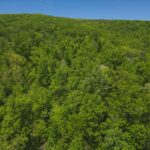 Property photo for land for sale in Grainger County Tennessee