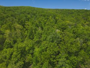 Property photo for land for sale in Grainger County Tennessee