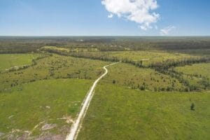 Property photo for land for sale in Tangipahoa County Louisiana