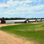 Property photo for land for sale in Amite County Mississippi