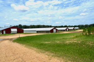 Property photo for land for sale in Amite County Mississippi