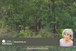 Property photo for land for sale in Izard County Arkansas