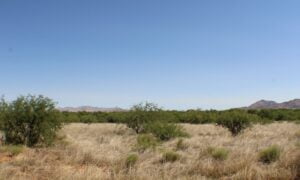 Property photo for land for sale in Cochise County Arizona