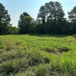 Property photo for land for sale in Halifax County Virginia