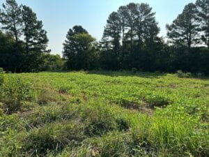 Property photo for land for sale in Halifax County Virginia