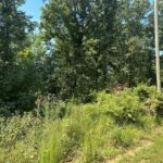 Property photo for land for sale in Hardin County Tennessee