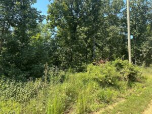 Property photo for land for sale in Hardin County Tennessee