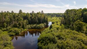 Property photo for land for sale in Aroostook County Maine