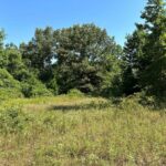 Property photo for land for sale in Rusk County Texas