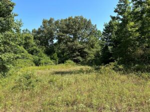 Property photo for land for sale in Rusk County Texas