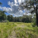 Property photo for land for sale in Gilchrist County Florida