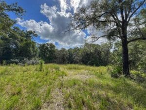 Property photo for land for sale in Gilchrist County Florida