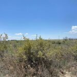 Property photo for land for sale in Torrance County New Mexico