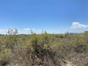 Property photo for land for sale in Torrance County New Mexico