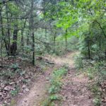 Property photo for land for sale in Pushmataha County Oklahoma