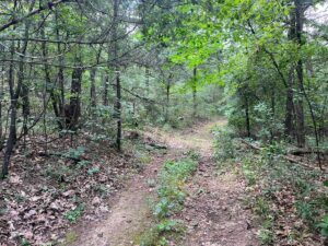 Property photo for land for sale in Pushmataha County Oklahoma