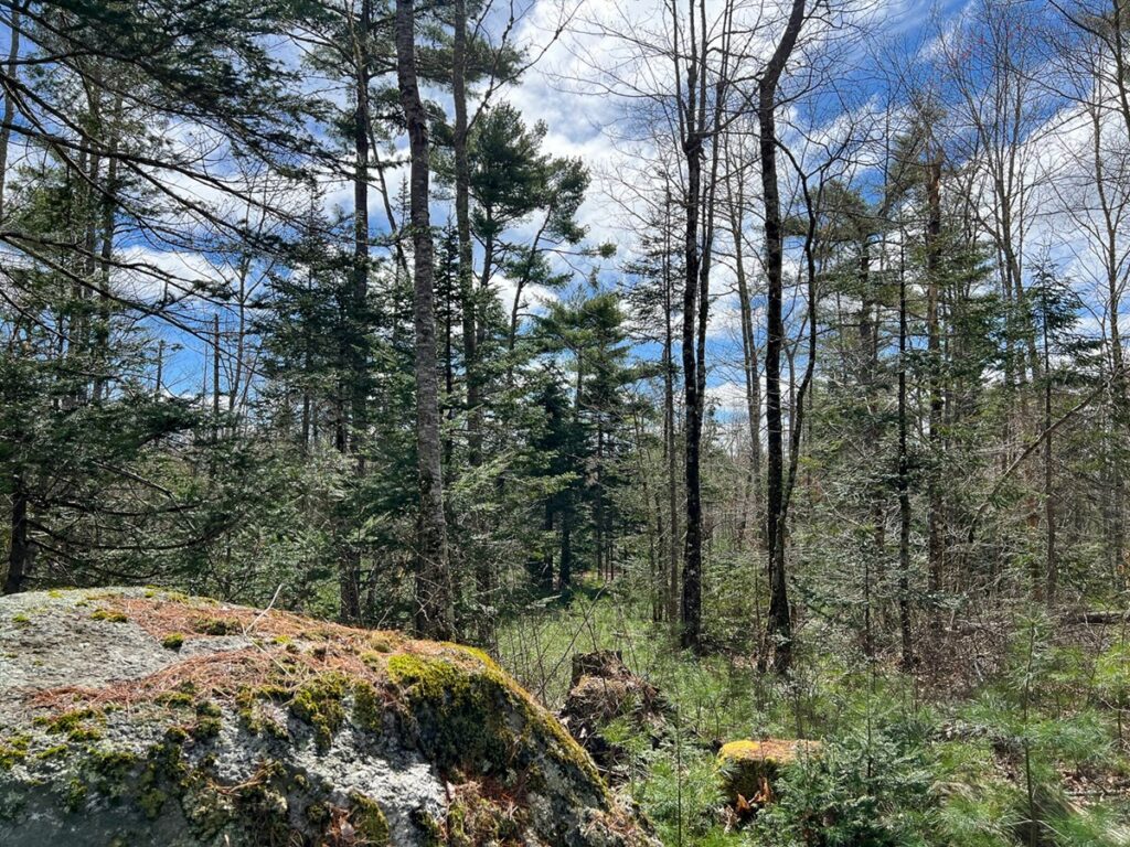 Property photo for land for sale in Penobscot County Maine