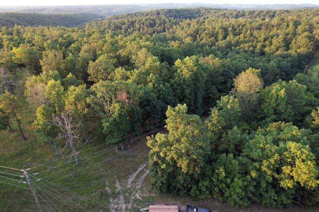 Property photo for land for sale in Shannon County Missouri