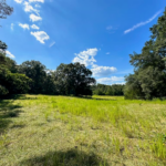 Property photo for land for sale in Pike County Mississippi