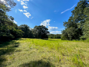 Property photo for land for sale in Pike County Mississippi